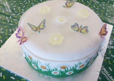 A stunning fruit cake for Macmillan Cancer Support coffee morning decorated with butterflies