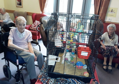 Pet Therapy at Hengist Field Care Home 2