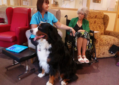 Staff member and resident at Hengist Field Care Home with a Bernese Mountain Dog in the lounge