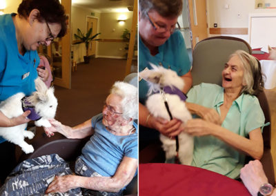 Pet therapy rabbit visiting with Hengist Field residents 2