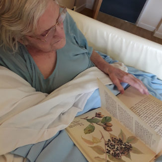 Lady resident looking through and Edwardian plant diary