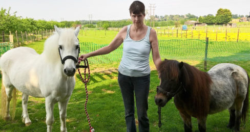 Lady with her two ponies