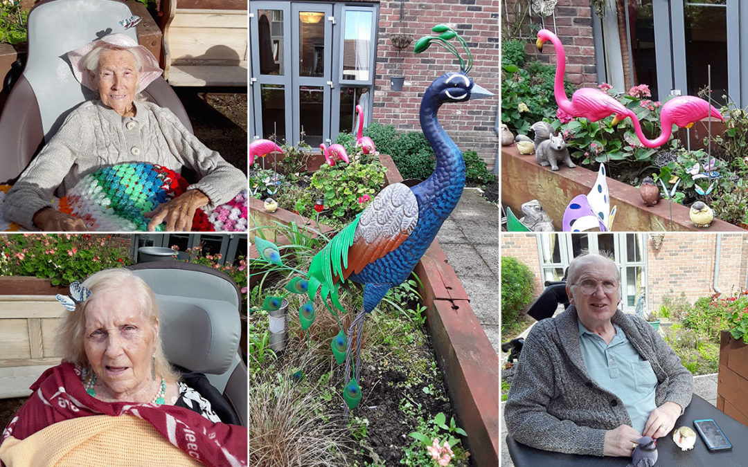 Polly the Peacock lands at Hengist Field Care Home