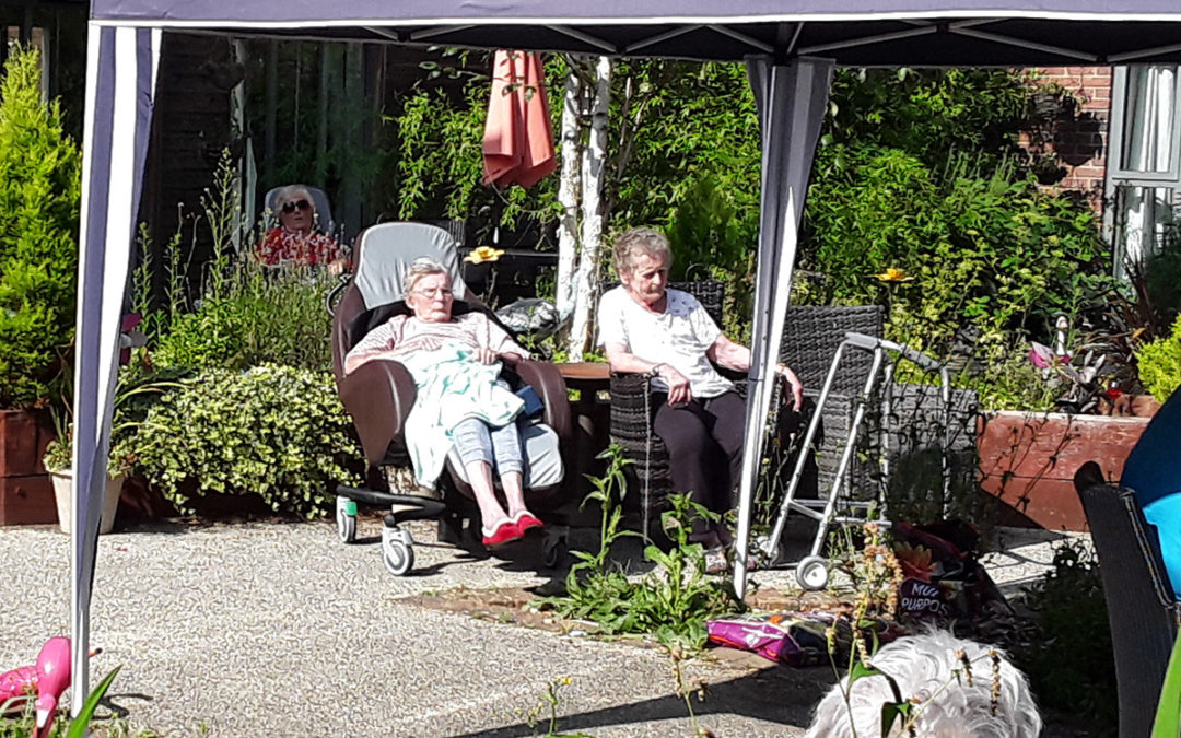 Relaxing in the sun at Hengist Field Care Home