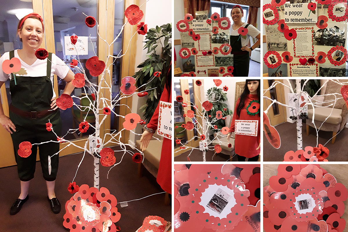 Poppy Day display at Hengist Field Care Home