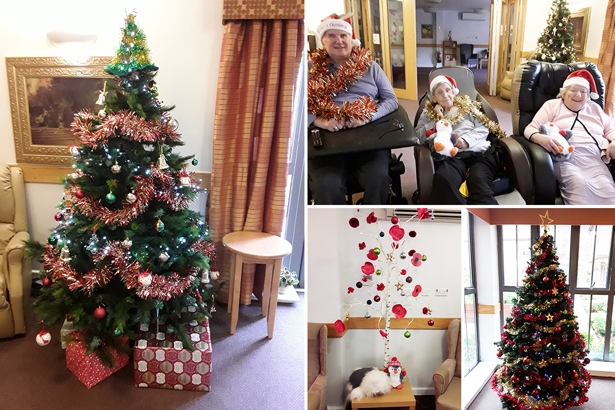 Festive decorations and Christmas trees at Hengist Field Care Home
