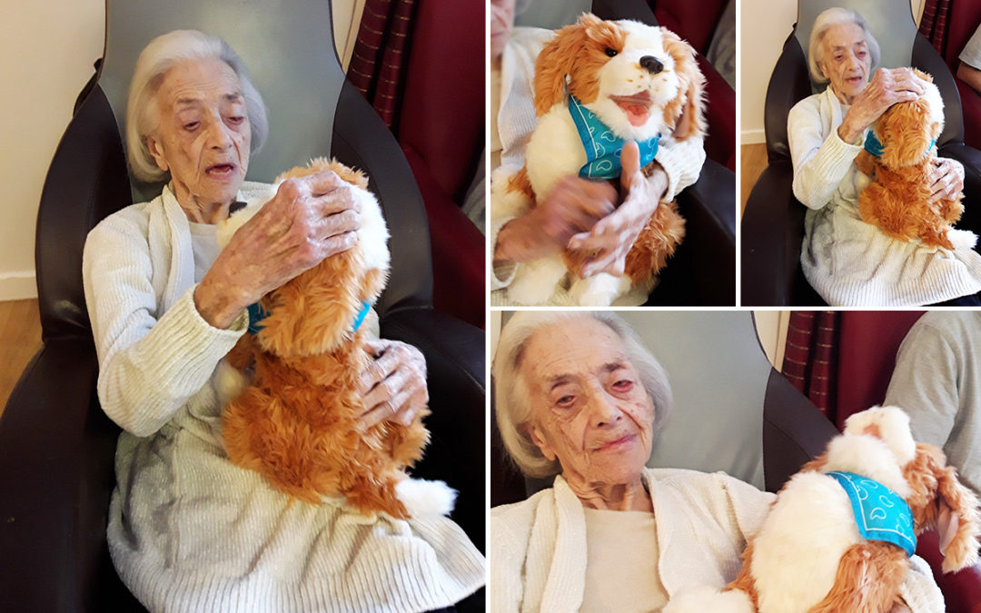 Interactive companion dog at Hengist Field Care Home