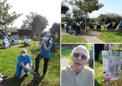 Hengist Field Care Home staff and residents planting a tree for the Jubilee in their garden