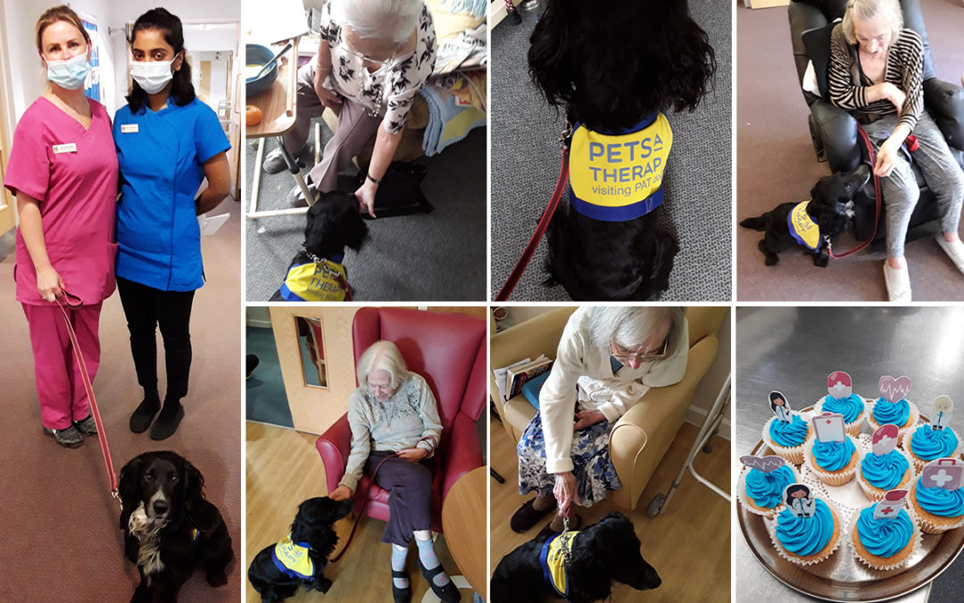 Pet Therapy and International Nurses Day at Hengist Field Care Home