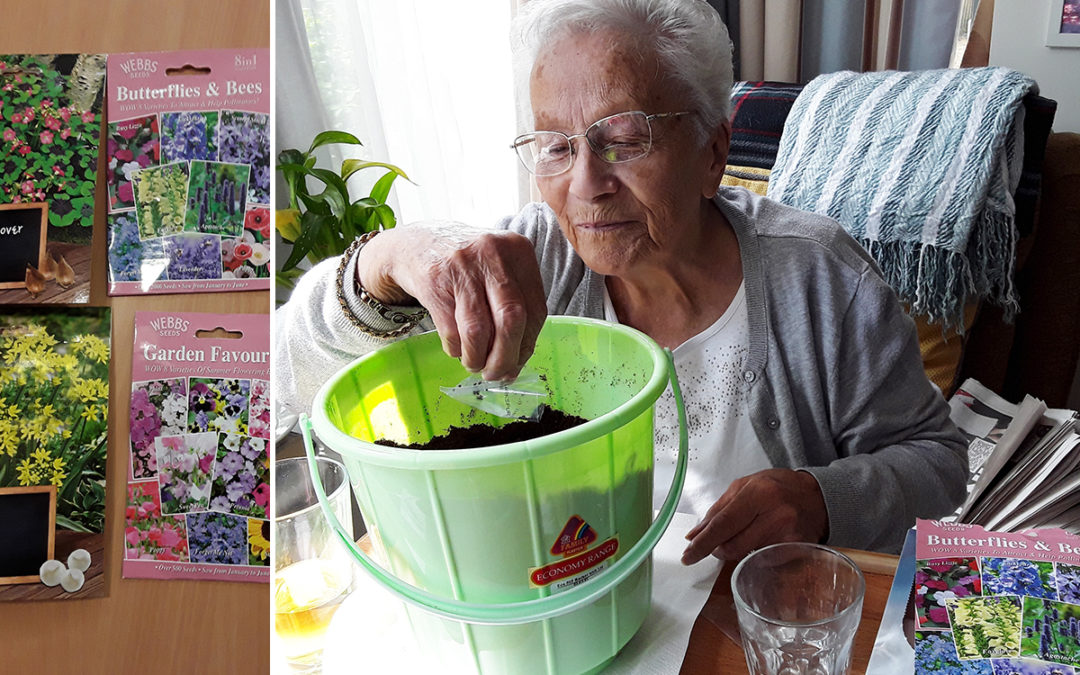 Hengist Field Care Home residents enjoy planting flower seeds