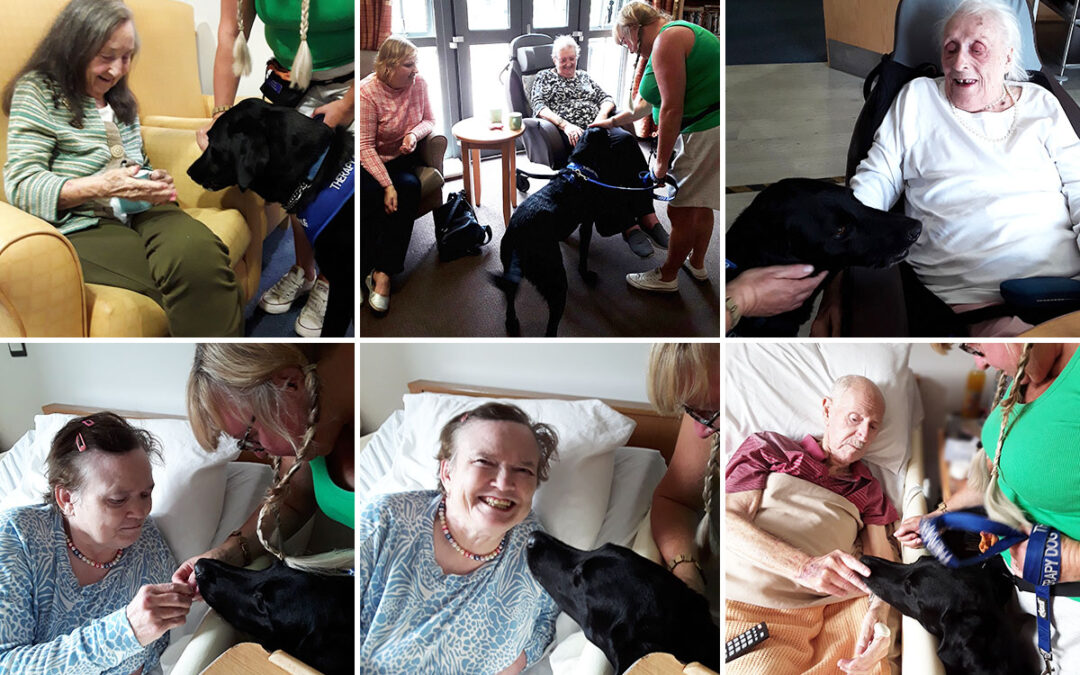 Joanne and Frankie visit Hengist Field Care Home residents