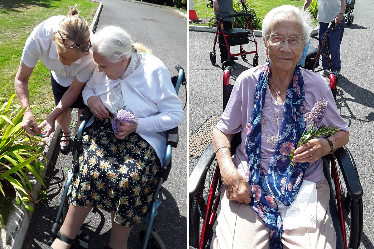 Hengist Field Care Home residents taking in local nature and flowers