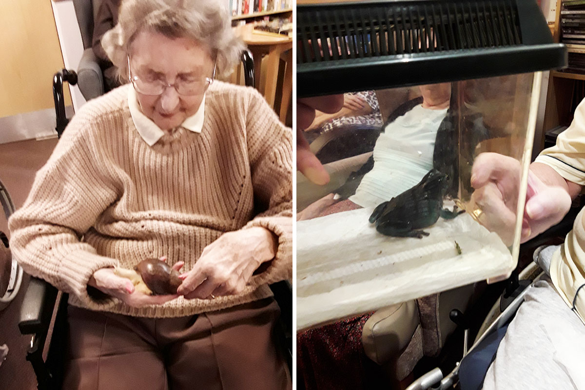 ZooLab animals at Hengist Field Care Home
