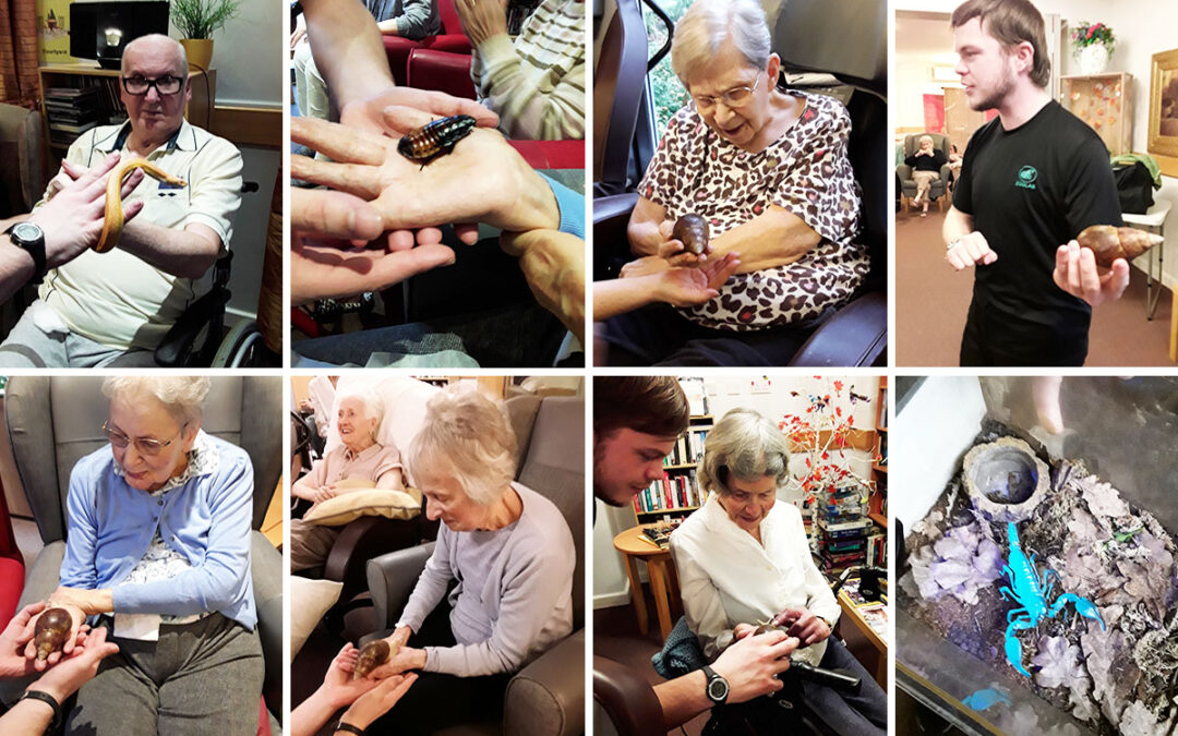A visit from ZooLab at Hengist Field Care Home