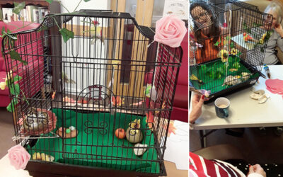 Bird cage creations at Hengist Field Care Home