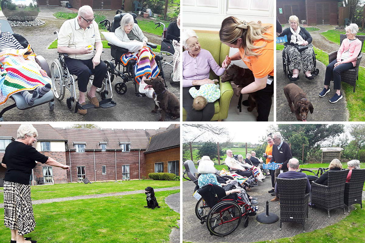 Having fun with pet dogs Dexter and Luna at Hengist Field Care Home