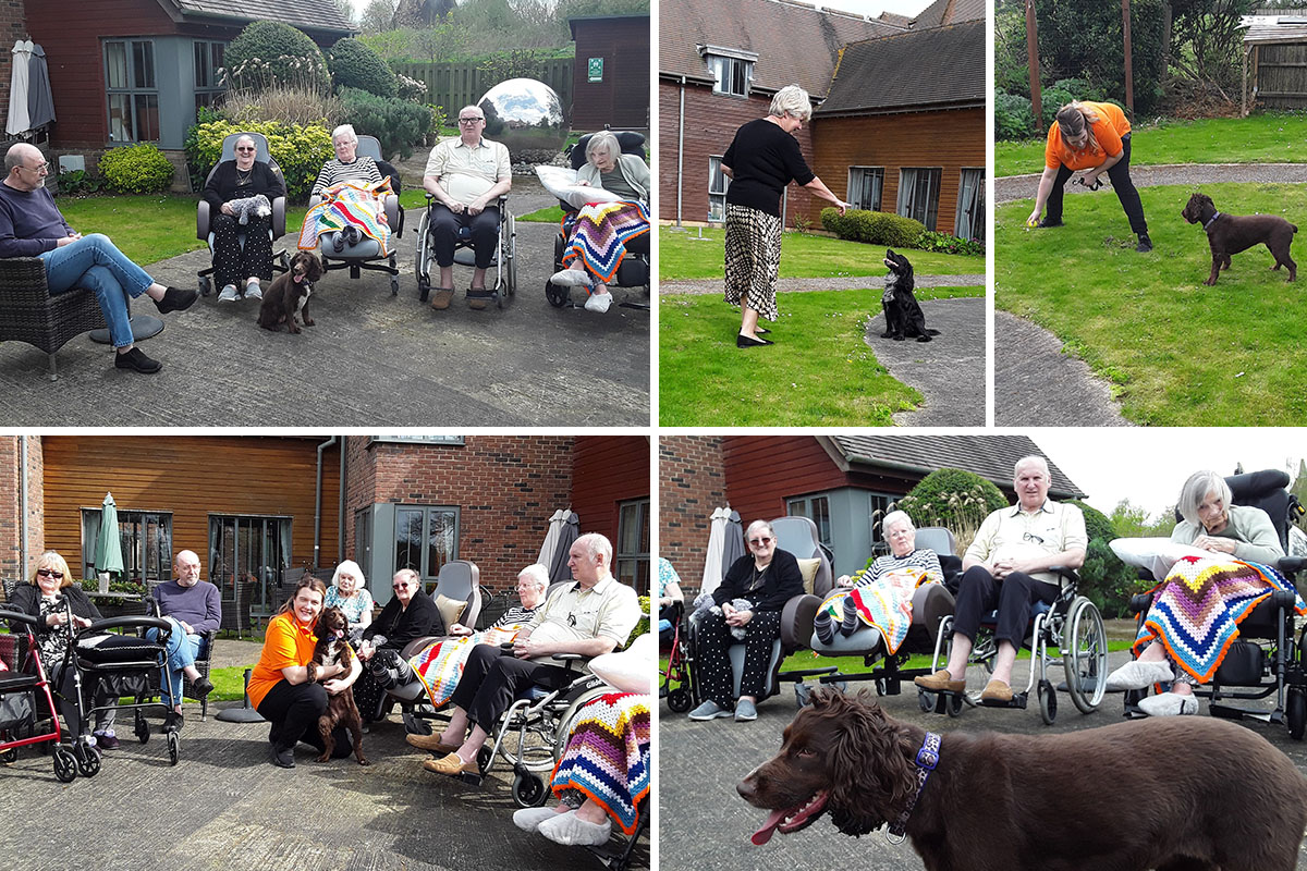Celebrating National Pet Day at Hengist Field Care Home