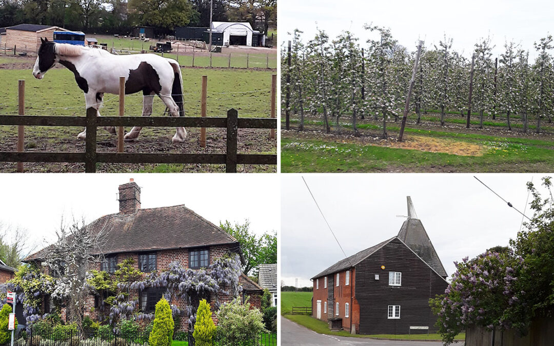 Hengist Field Care Home residents enjoy a countryside tour