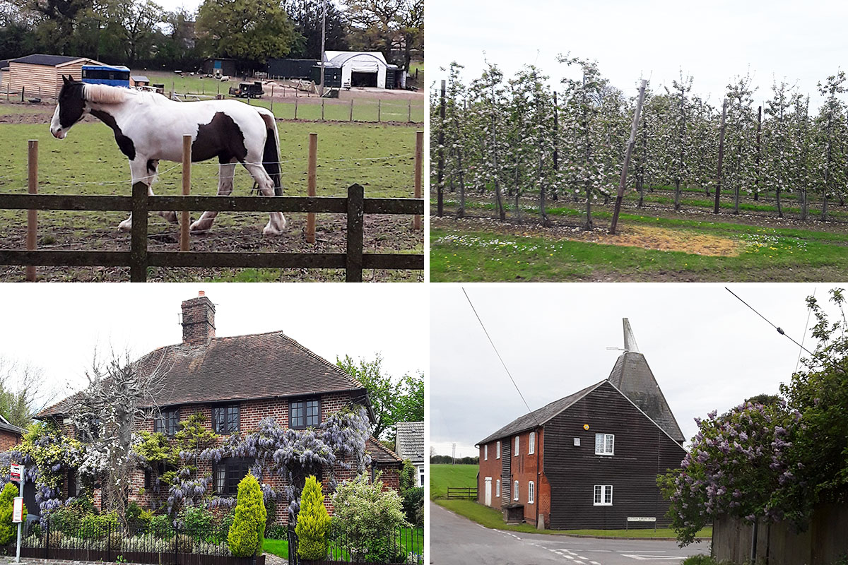 Hengist Field Care Home residents enjoy a countryside tour