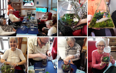 Making terrariums at Hengist Field Care Home
